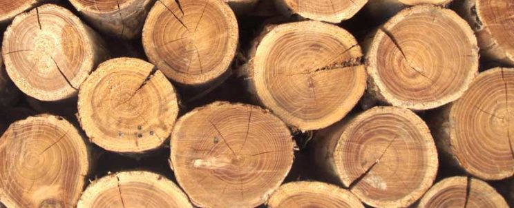 свойства древесины